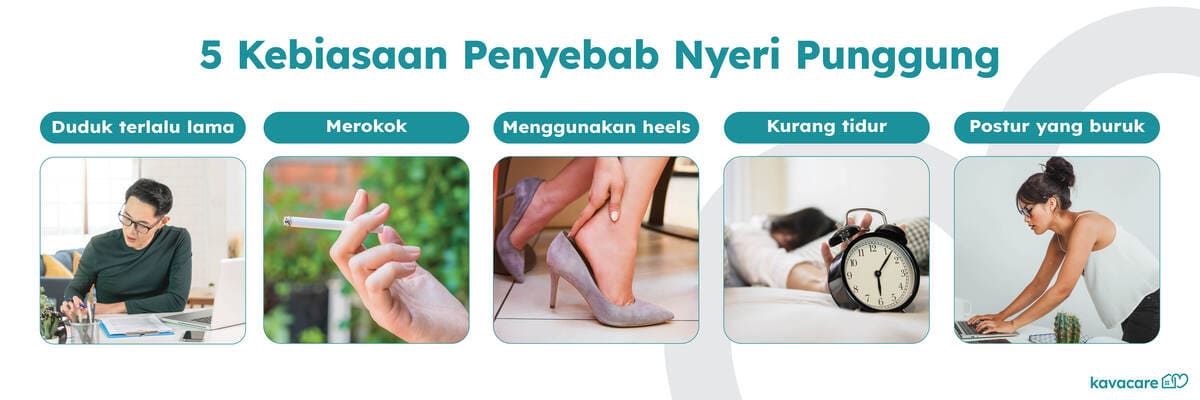 Infografis Penyebab Nyeri Punggung Kavacare