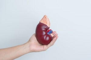 Transplantasi Organ di Korea Selatan: Cara dan Syarat