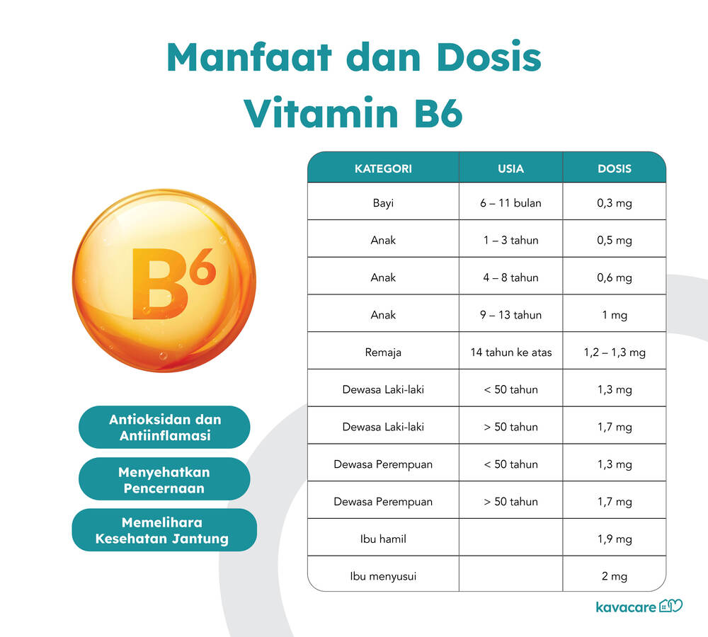 Infografis Manfaat Vitamin B6 - Kavacare
