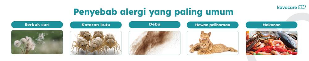 penyebab alergi