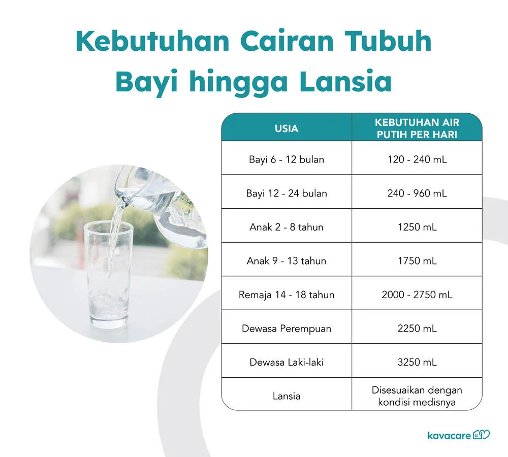 kebutuhan cairan tubuh, infografis