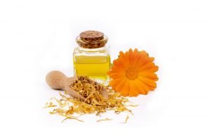 Minyak Calendula (Calendula Oil): Kandungan dan Ragam Manfaat