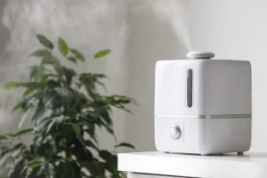 Air Humidifier: Fungsi, Manfaat, dan Cara Penggunaan